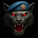 "БАРС-САРМАТ" Центр специального назначения (добровольческий, беспилотных систем)