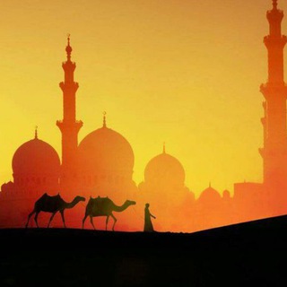 Логотип @russian_vostok - В Каире все спокойно | Сводки Ирано-американской войны