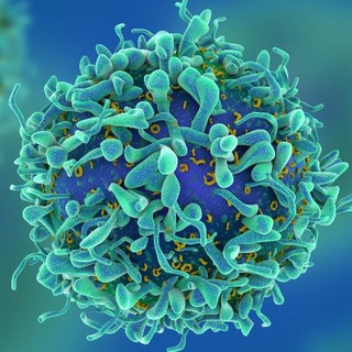 Логотип @russianbiotech - Russian Biotech Channel