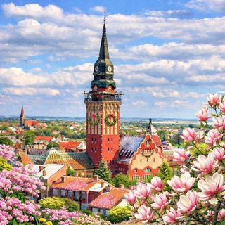 Логотип @russiansubotica - Русская Суботица