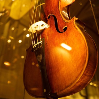 Логотип @russianviolin - Фонд «Русская скрипка» 🎻