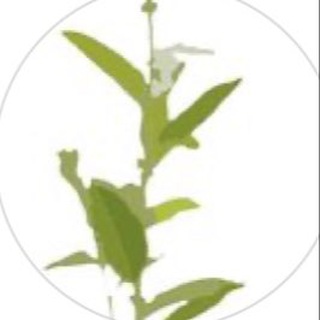 Логотип @russkayaiva - Русская ива