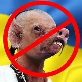 Логотип @russki_okkupant - Хохлы что с ебалом