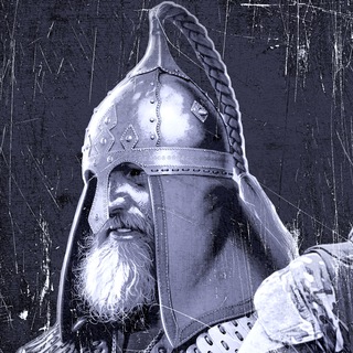 Логотип @rusvityaz_fund - БАРС -Добровольческий ОТРЯД.