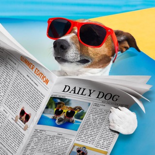 Логотип @ruszoonews - RusZooNews