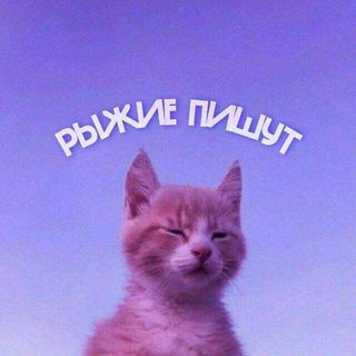 Логотип @ruzholdachat - рыжие пишут 🪐