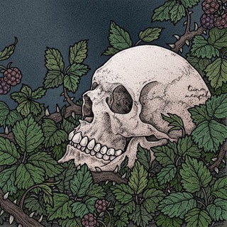 Логотип @rxlzq_rx - Rxlzq