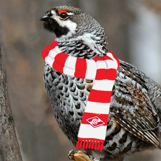 Логотип @ryab4ikfcsm - Рябчик