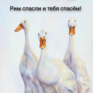 Логотип @ryabchikko - Хорошее настроение