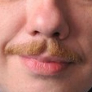 Логотип @ryazan_shit - Усы Зызина