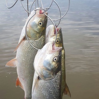 Логотип @rybalkanakubani - Рыбалка на Кубани