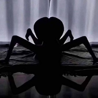 Логотип @rymell_daria - КОУЧИХА паучиха