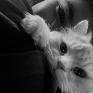 Логотип @rymmmt - ми🫂