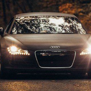 Логотип @ryzen0_1gbgb - День лесника