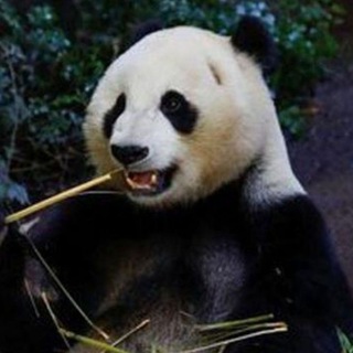 Логотип @rzhachnye_prikoly - РЖАЧНЫЕ ПРИКОЛЫ😂👍