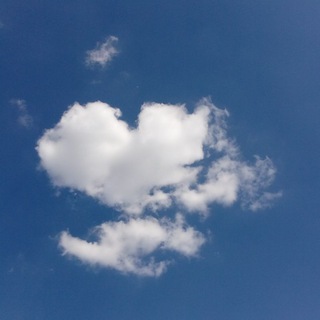 Логотип @rzhiza - Жизненно и ржачно