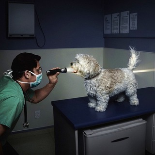 Логотип @rzhuuu - Годный юмор 18+ 👍👍👍