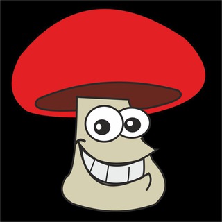 Логотип @rzntg - Рязань. Все новости из СМИ, ЧП