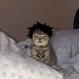 Логотип @s_allister - allister's shitshots[ASS]