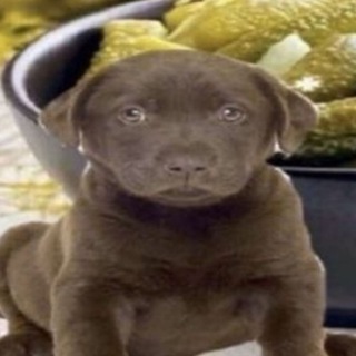 Логотип @s_dnem_channel - с днём