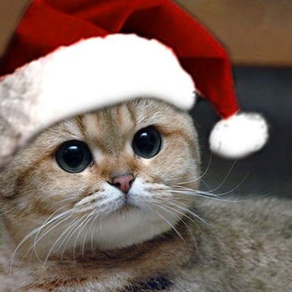 Логотип @s_koty - #котекиправятмиром