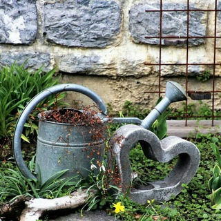 Логотип @saatgutliebe - 💚 Saatgutliebe 💚 Hauptkanal