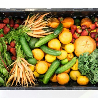 Логотип @saatgutliebe_selbstversorger - Saatgutliebe 🍇 Selbstversorger