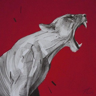 Логотип @sabrehal - AJdaha