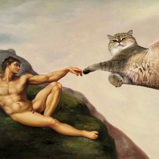 Логотип @sabrina_pussy - Пушистые штанишки