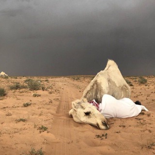 Логотип @sabrrisllam - дунья