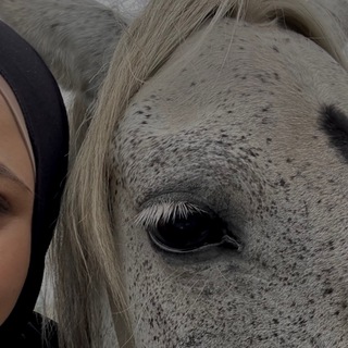 Логотип @sabrsunna - sabr.sunna ☾