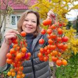 Логотип @sad_dlia_dushi - ⁣@sad_dlia_dushi