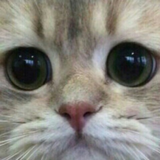 Логотип @sad_pikchi - Пикчи для грусти