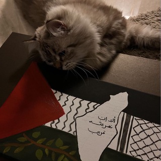 Логотип @sad_pravednikov - 𝐀 𝐜𝐚𝐥𝐥 𝐭𝐨 𝐈𝐬𝐥𝐚𝐦