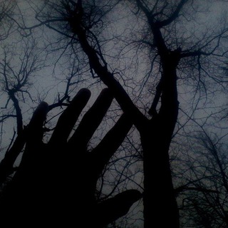 Логотип @sadatheartt - все лишь копия