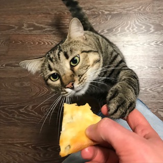 Логотип @sadfmanreserve - Sadfman