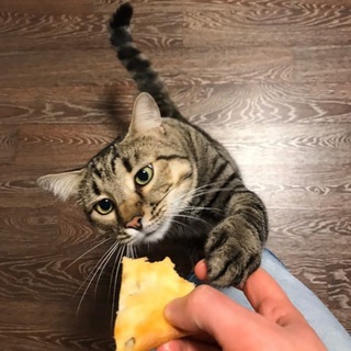 Логотип @sadfmen - @Sadfman