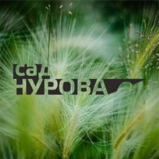 Логотип @sadnurova - Сад Нурова