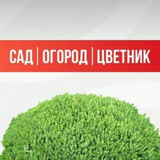 Логотип @sadogorodcvetnik - Сад Огород Цветник