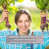 Логотип @sadovodi_dachinki_chat - Садоводы, дачники, частники | Чат