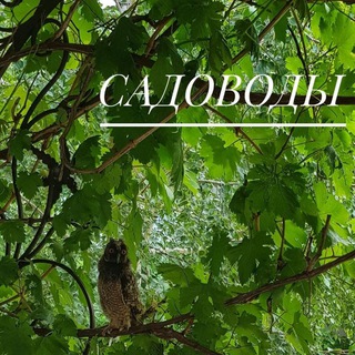 Логотип @sadovodikmv - САДОВОДЫ