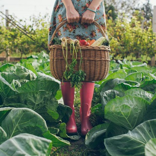 Логотип @sadovye_sekrety - Садовые секреты