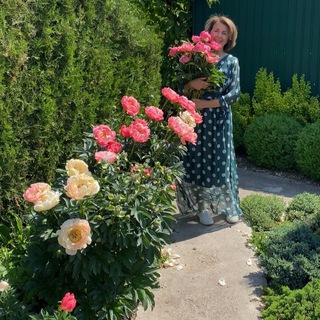 Логотип @sadovyetsvety - Садовые цветы