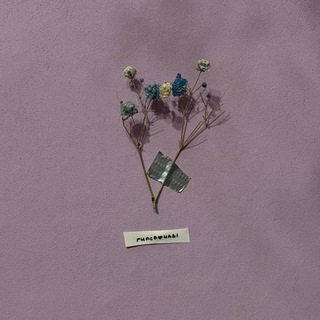 Логотип @saegull_d - п. Даша Евстефеева