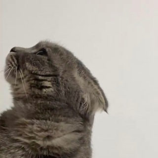 Логотип @safderun_06 - Safderun_06