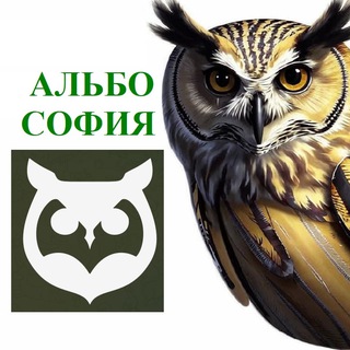 Логотип @safinshorts - Альбософия 📝