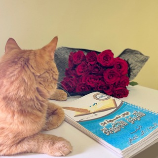 Логотип @safiya_arabic - أم هريرة