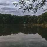 Логотип @safonova_dacha - База