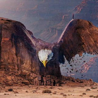 Логотип @sagesseprecieuse - Leçons de vie précieuses