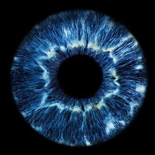 Логотип @sahaja_avastha - Свобода от присутствия